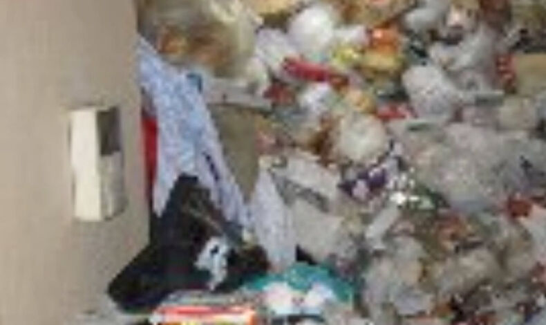 Blog